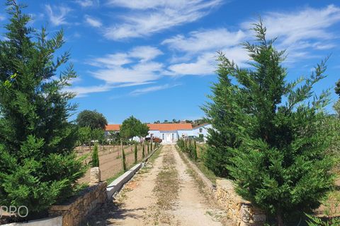 Villa i Tomar, Santarem, Tomar - € 850.000 | Ref: SP082 - foto 35