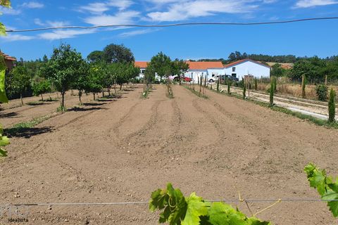 Villa i Tomar, Santarem, Tomar - € 850.000 | Ref: SP082 - foto 36