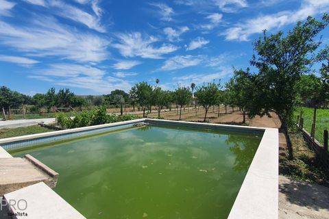 Villa i Tomar, Santarem, Tomar - € 850.000 | Ref: SP082 - foto 37
