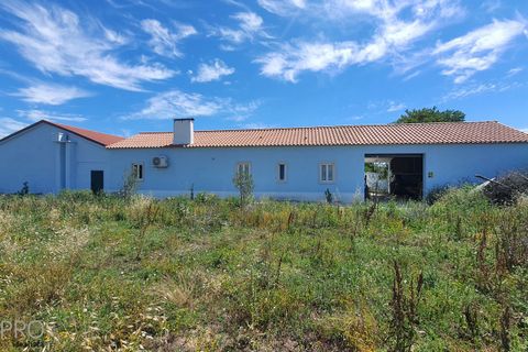 Villa i Tomar, Santarem, Tomar - € 850.000 | Ref: SP082 - foto 40