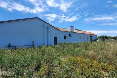 Villa i Tomar, Santarem, Tomar - € 850.000 | Ref: SP082 - foto 43