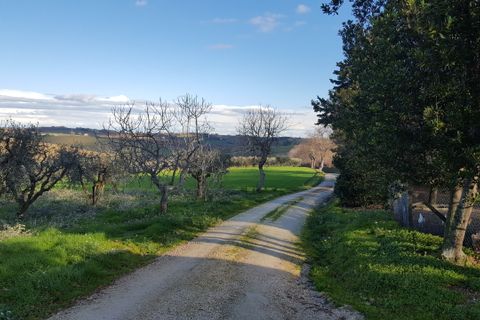 Villa a Senigallia, Ancona, Senigallia - € 500.000 | Ref: RU074 - foto 5