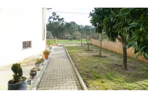 Villa a Pombal, Leiria, Pombal - € 300.000 | Ref: 103/2024 - foto 45