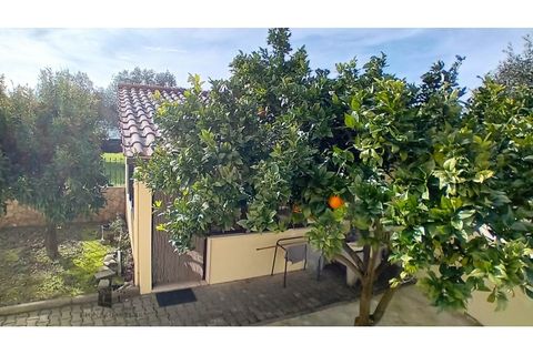 Villa a Pombal, Leiria, Pombal - € 300.000 | Ref: 103/2024 - foto 46