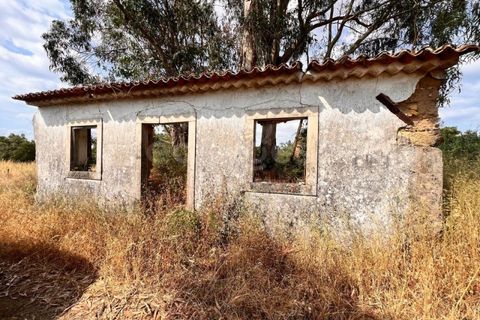 Villa i Tomar, Santarem, Tomar - € 50.000 | Ref: TM94695 - foto 1