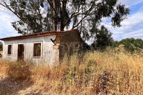Villa i Tomar, Santarem, Tomar - € 50.000 | Ref: TM94695 - foto 4