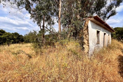 Villa i Tomar, Santarem, Tomar - € 50.000 | Ref: TM94695 - foto 5