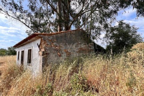 Villa i Tomar, Santarem, Tomar - € 50.000 | Ref: TM94695 - foto 2