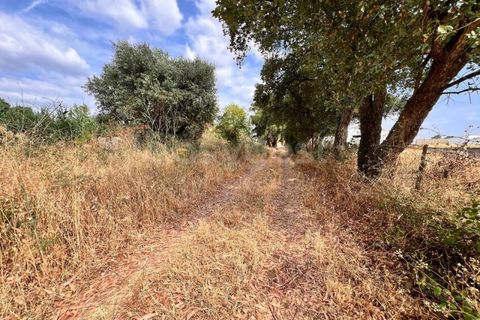 Villa i Tomar, Santarem, Tomar - € 50.000 | Ref: TM94695 - foto 6