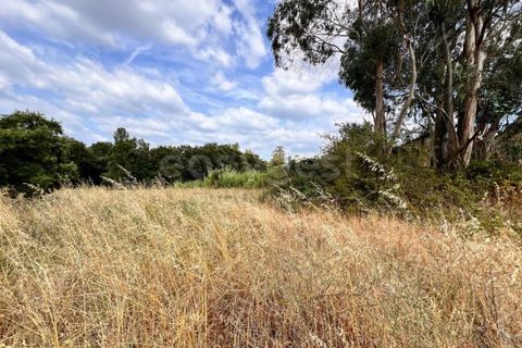 Villa i Tomar, Santarem, Tomar - € 50.000 | Ref: TM94695 - foto 7