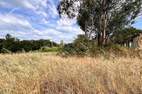 Villa i Tomar, Santarem, Tomar - € 50.000 | Ref: TM94695 - foto 8