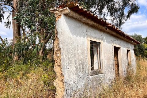 Villa i Tomar, Santarem, Tomar - € 50.000 | Ref: TM94695 - foto 9