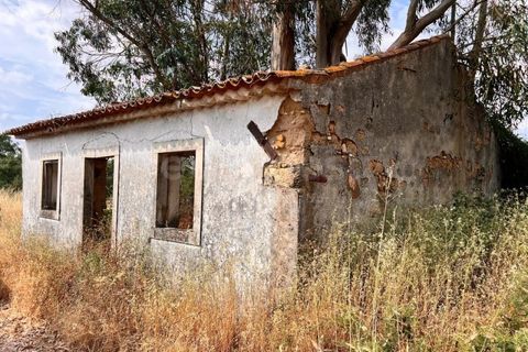 Villa i Tomar, Santarem, Tomar - € 50.000 | Ref: TM94695 - foto 10