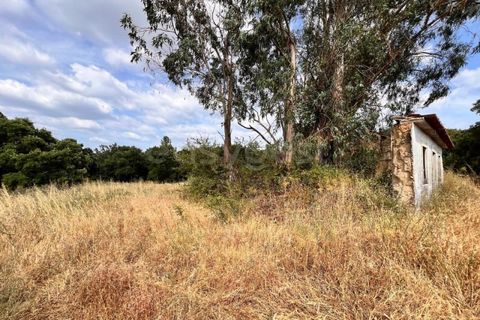 Villa i Tomar, Santarem, Tomar - € 50.000 | Ref: TM94695 - foto 11