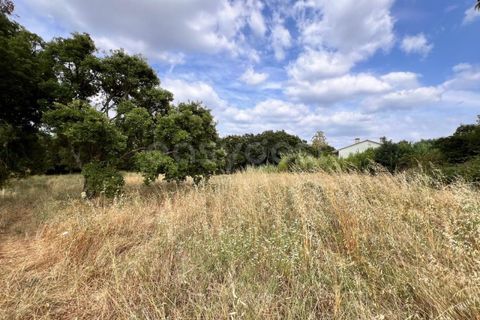 Villa i Tomar, Santarem, Tomar - € 50.000 | Ref: TM94695 - foto 12
