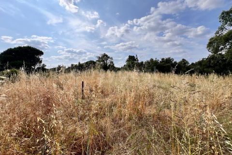 Villa i Tomar, Santarem, Tomar - € 50.000 | Ref: TM94695 - foto 13