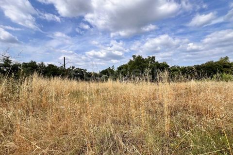 Villa i Tomar, Santarem, Tomar - € 50.000 | Ref: TM94695 - foto 16