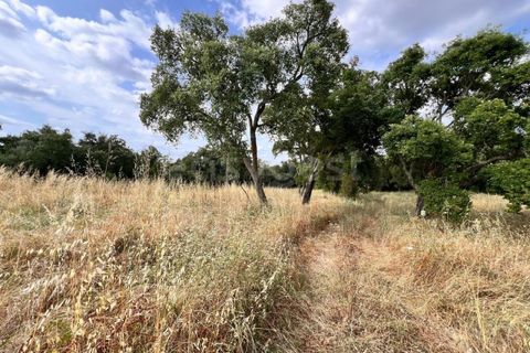 Villa i Tomar, Santarem, Tomar - € 50.000 | Ref: TM94695 - foto 17