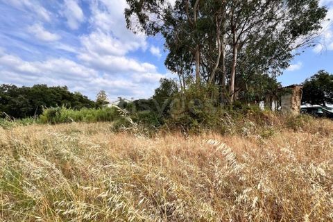 Villa i Tomar, Santarem, Tomar - € 50.000 | Ref: TM94695 - foto 18