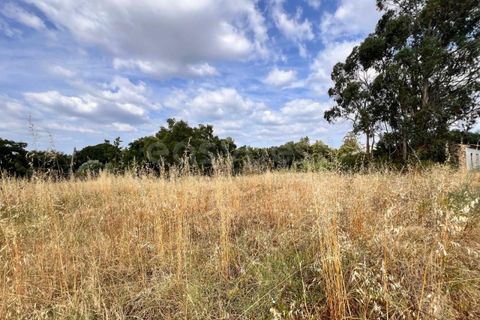 Villa i Tomar, Santarem, Tomar - € 50.000 | Ref: TM94695 - foto 19