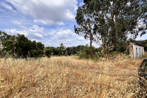 Villa i Tomar, Santarem, Tomar - € 50.000 | Ref: TM94695 - foto 20