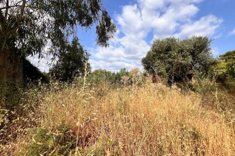 Villa i Tomar, Santarem, Tomar - € 50.000 | Ref: TM94695 - foto 21