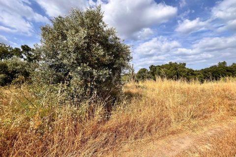 Villa i Tomar, Santarem, Tomar - € 50.000 | Ref: TM94695 - foto 22