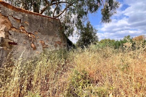 Villa i Tomar, Santarem, Tomar - € 50.000 | Ref: TM94695 - foto 23