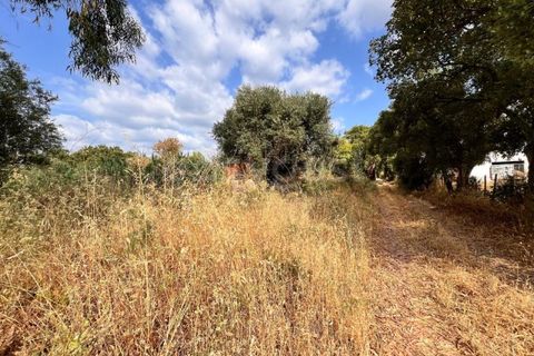Villa i Tomar, Santarem, Tomar - € 50.000 | Ref: TM94695 - foto 24