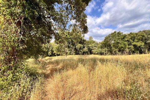 Villa i Tomar, Santarem, Tomar - € 50.000 | Ref: TM94695 - foto 3