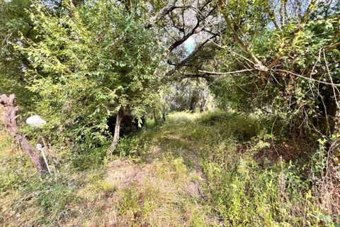 Villa i Tomar, Santarem, Tomar - € 50.000 | Ref: TM94695 - foto 25