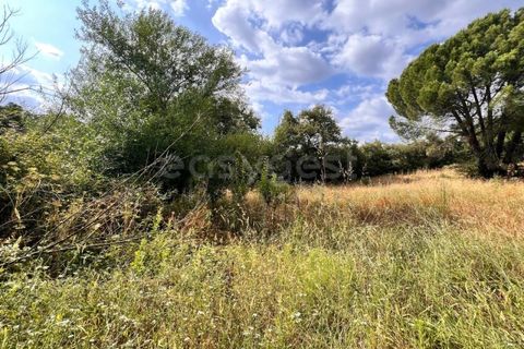 Villa i Tomar, Santarem, Tomar - € 50.000 | Ref: TM94695 - foto 26