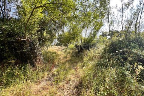 Villa i Tomar, Santarem, Tomar - € 50.000 | Ref: TM94695 - foto 27
