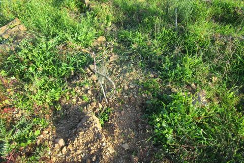 Helårsgrund i Odeleite, Faro, Odeleite - € 14.000 | Ref: 2001-134 - foto 6