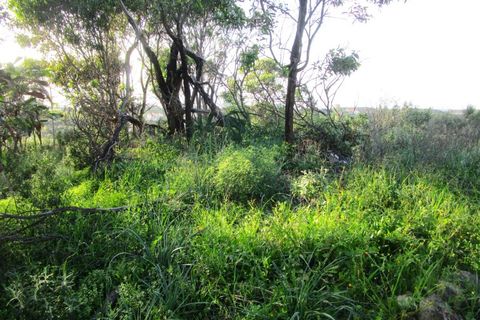 Helårsgrund i Odeleite, Faro, Odeleite - € 14.000 | Ref: 2001-134 - foto 12