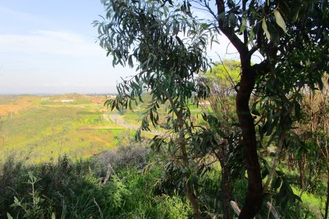 Helårsgrund i Odeleite, Faro, Odeleite - € 14.000 | Ref: 2001-134 - foto 13