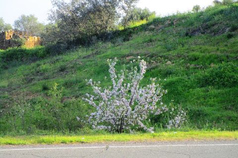 Helårsgrund i Odeleite, Faro, Odeleite - € 14.000 | Ref: 2001-134 - foto 18