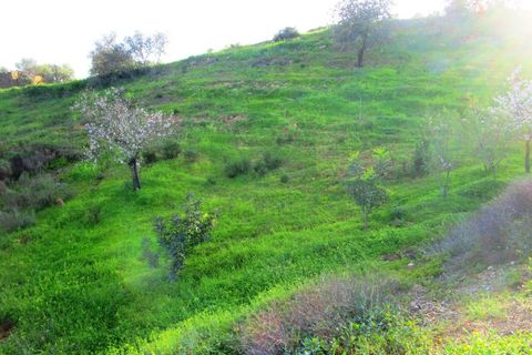 Helårsgrund i Odeleite, Faro, Odeleite - € 14.000 | Ref: 2001-134 - foto 20