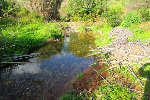 Grond in Odeleite, Faro, Odeleite - € 20.000 | Ref: 2001-133 - foto 1