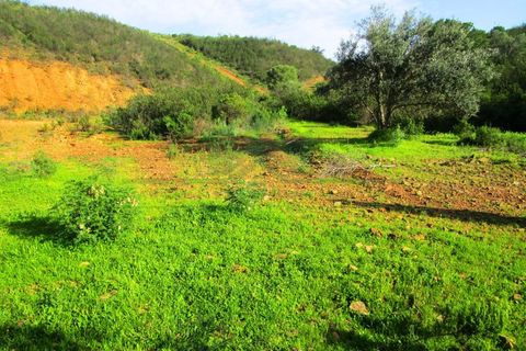 Grond in Odeleite, Faro, Odeleite - € 20.000 | Ref: 2001-133 - foto 3