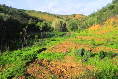 Grond in Odeleite, Faro, Odeleite - € 20.000 | Ref: 2001-133 - foto 4