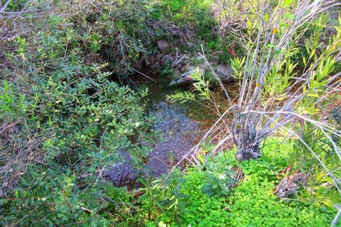 Grond in Odeleite, Faro, Odeleite - € 20.000 | Ref: 2001-133 - foto 7