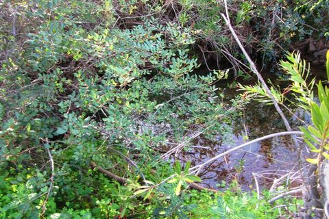 Grond in Odeleite, Faro, Odeleite - € 20.000 | Ref: 2001-133 - foto 8