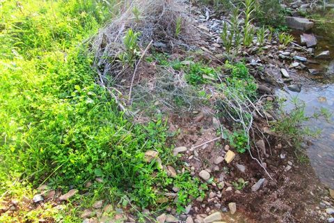 Grond in Odeleite, Faro, Odeleite - € 20.000 | Ref: 2001-133 - foto 10