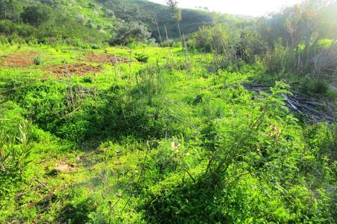 Grond in Odeleite, Faro, Odeleite - € 20.000 | Ref: 2001-133 - foto 11