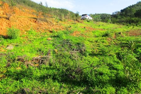 Grond in Odeleite, Faro, Odeleite - € 20.000 | Ref: 2001-133 - foto 13