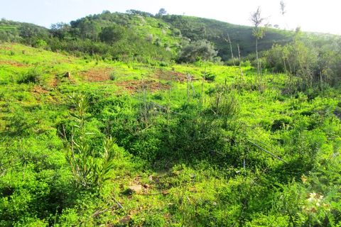 Grond in Odeleite, Faro, Odeleite - € 20.000 | Ref: 2001-133 - foto 14