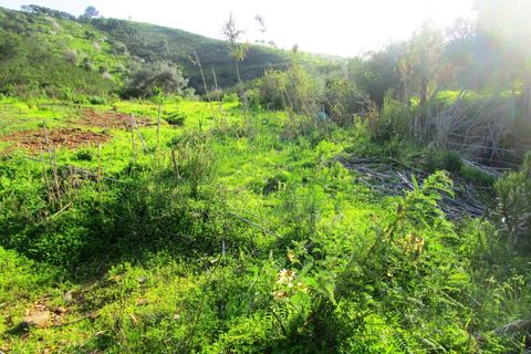 Grond in Odeleite, Faro, Odeleite - € 20.000 | Ref: 2001-133 - foto 15