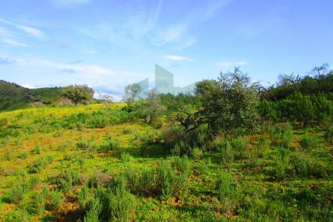 Terra a Odeleite, Faro, Odeleite - € 20.000 | Ref: 2001-132 - foto 3