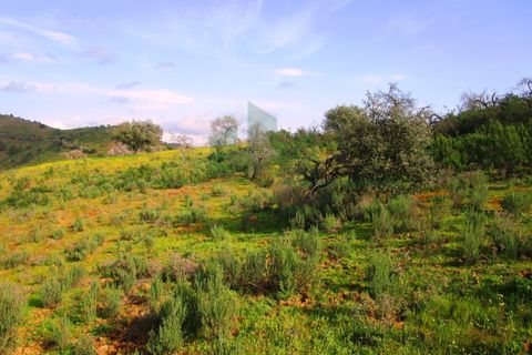 Terra a Odeleite, Faro, Odeleite - € 20.000 | Ref: 2001-132 - foto 6